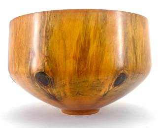 TODD CAMPBELL Norfolk Island Pine