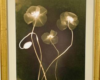 Lot 17	Madeline and Robert Longstreet (American, b. 1940 and b. 1962). Untitled (early 2000s). Cyanotype on Watercolor Paper.