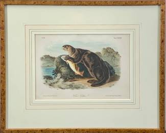 Lot 102	JOHN W. AUDUBON (1812-1862, USA) LITHOGRAPH ON PAPER - Hand-colored, titled Sea Otter. From The Quadrupeds of North America. No. 28 and plate 137. 