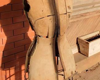 photo190 singular display fullPicture