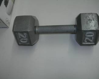 20 LB Weight