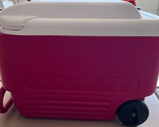 Igloo Cooler