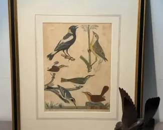 Antique hand-colored engraving from Alexander Wilson's "American Ornithology"