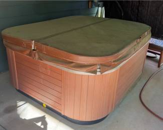 Bullfrog Spas Hottub