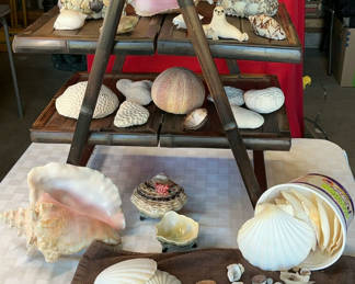 Lot 56: Assorted Seashells and Shell Decor