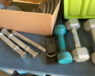 Lot 65: Assorted weight plates and dumbbell/barbell equipment