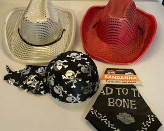 Lot 86: Costume Hats And More