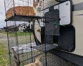 Lot 90: Catio needs assembly