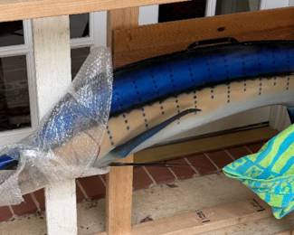Closer look at the sailfish