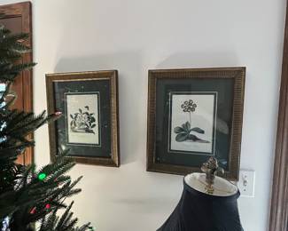 framed botanicals