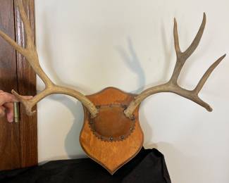 deer antler plaque