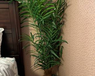 128Apr 17 2026 05 44pmyyKo