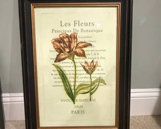 Botanical Print Les Fleurs Principes De Botanique