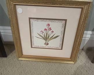 Framed Botanical Print of Tulips by Joan Cole