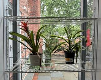 White Wire Shelving Unit with Potted Plants