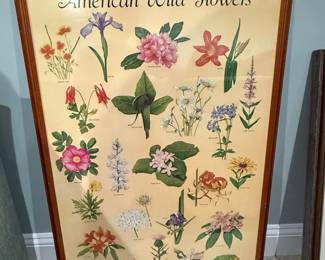 American Wild Flowers Framed Print