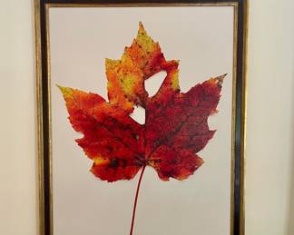 Impressive Leaf Art