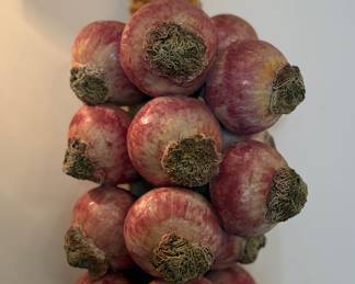 Turnips Sculpture