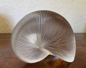 Nautilus