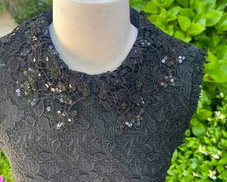 Detail of the Intricate Lace Collar