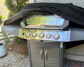 Blue Ember Gas Grill