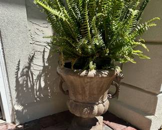 Urn Planter with Fern