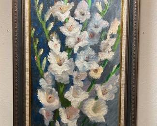 Gladiolus, Dr. Julius Zsohar