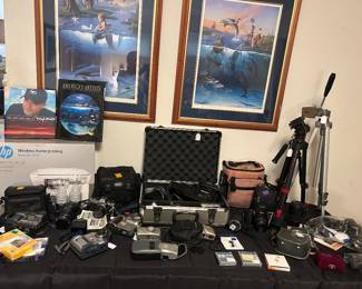 Camcorder, digital cameras & equipment, tripods, David Wyland art