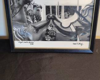 Caged Wooden Horses Photograph