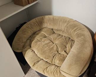 dog bed