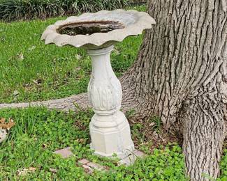 bird bath