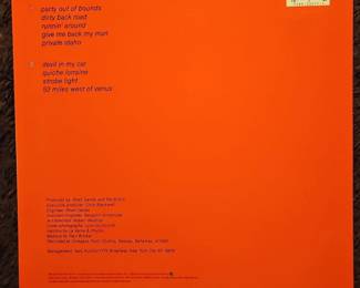 The Bs Wild Planet Vinyl Record second image