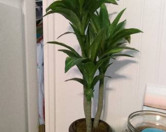 Artificial Dracaena Massangeana Corn Plant in Pot