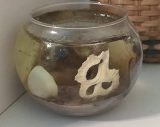 Seashell and Stone Encased in Resin Decorative Object
