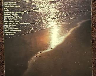 The Beach Boys High Water A Record Set second image