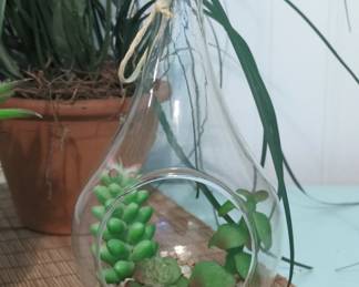 Glass Teardrop Terrarium with Faux Succulents