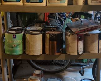 Mixed Paint and Wallpaper Paste Lot