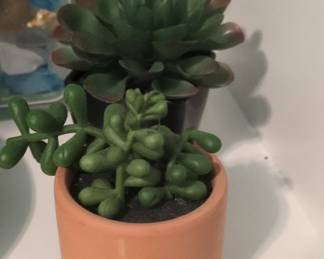 Artificial Succulent Plants in Terracotta Pots