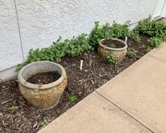 Two of several concrete planters