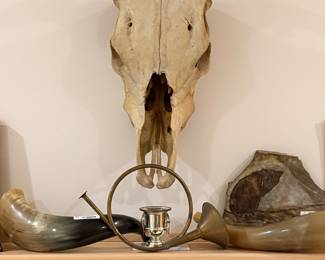 Longhorn Steer Skull Wall Mount