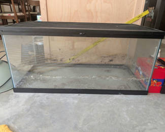 Lot 79: Large Glass Terrarium 