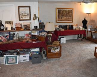 DOWNSTAIRS-Den Overview