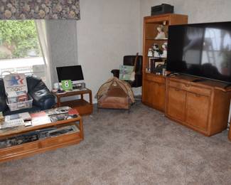 DOWNSTAIRS-Den Overview
