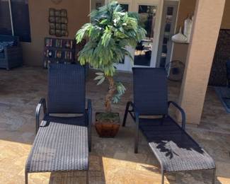 Lawn Chairs, And Plastic Plant