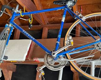 Vintage Schwinn Bike