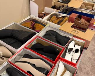 Assorted Women's and Men's Footwear Collection