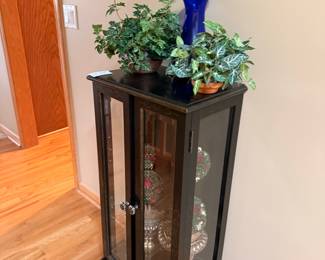 Display Cabinet with Glass Doors