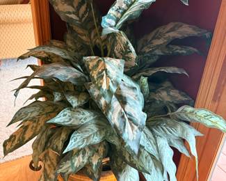 Artificial Chinese Evergreen Plant - 'Maria' Variety
