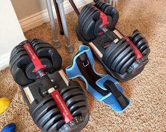 Adjustable Dumbbells SelectTech Style Weight Set Stand Home Gym Fitness Equipment