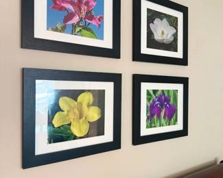 Framed Floral Art Prints Set Of Four Flower Photography Wall Gallery Decor